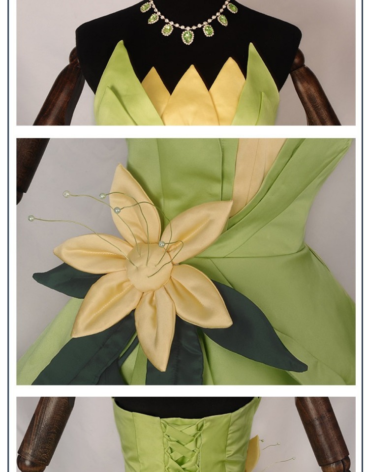 Princess Tiana Dress Cosplay C - Tech Accessories Women review and price