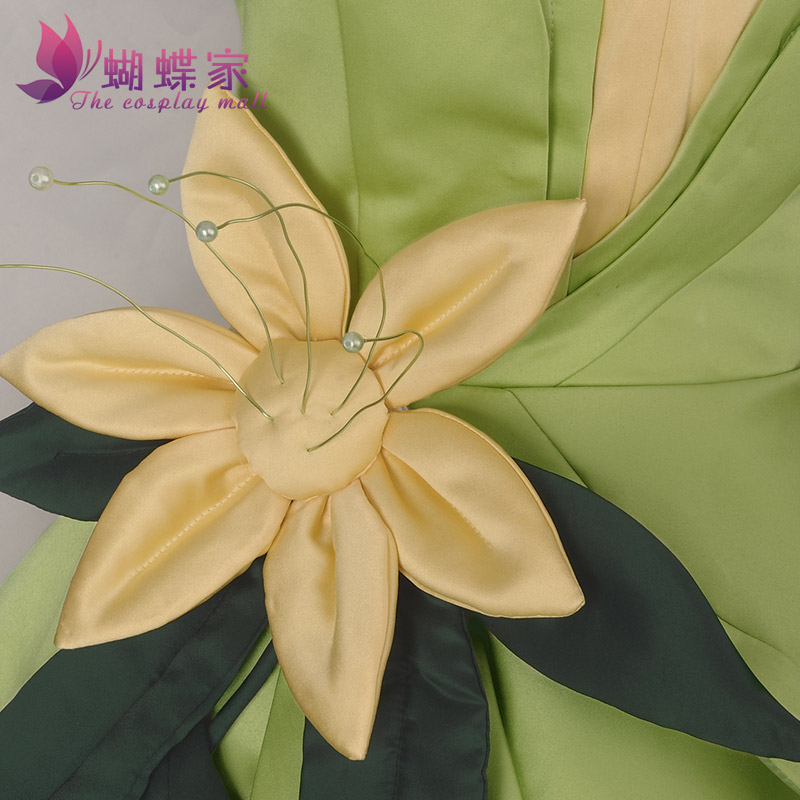Princess Tiana Dress Cosplay C - Tech Accessories Women review and price