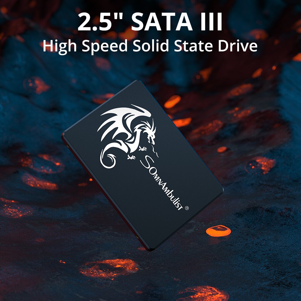 SomnAmbulist SSD 120GB 240GB 4 - Samsung Ssd Evo 870 review and price