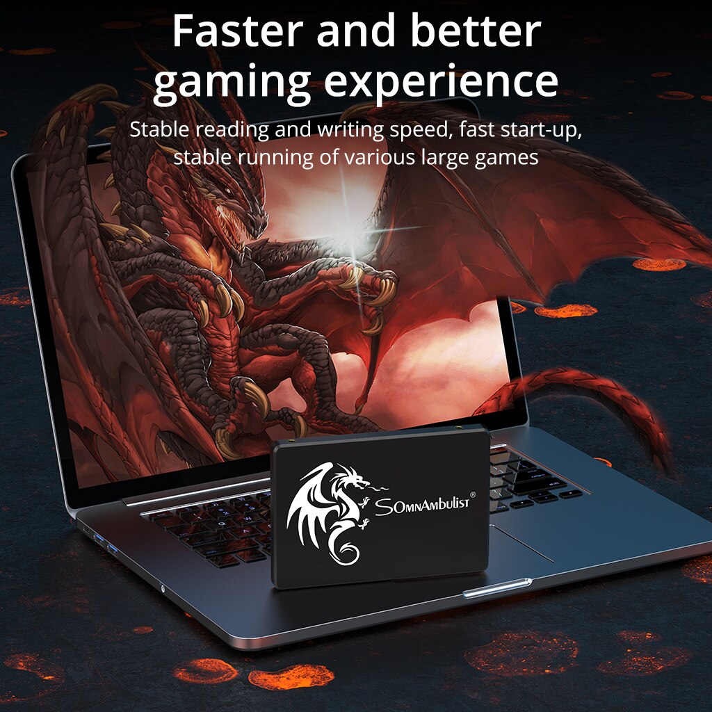 SomnAmbulist SSD 120GB 240GB 4 - Samsung Ssd Evo 870 review and price